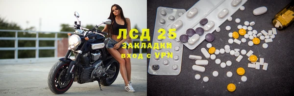 ГАЛЛЮЦИНОГЕННЫЕ ГРИБЫ Кулебаки