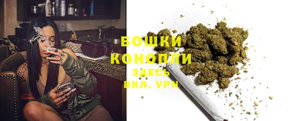 ГАЛЛЮЦИНОГЕННЫЕ ГРИБЫ Кулебаки