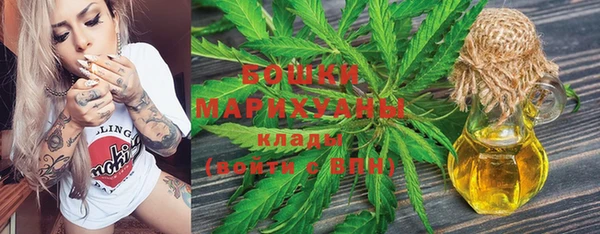 ГАЛЛЮЦИНОГЕННЫЕ ГРИБЫ Кулебаки