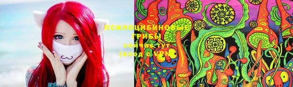 прущие крисы Кукмор