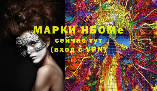 ГАЛЛЮЦИНОГЕННЫЕ ГРИБЫ Кулебаки