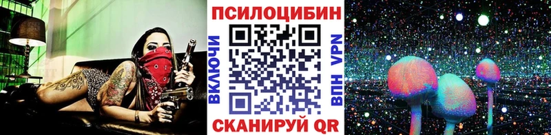 Псилоцибиновые грибы Psilocybe  Братск 